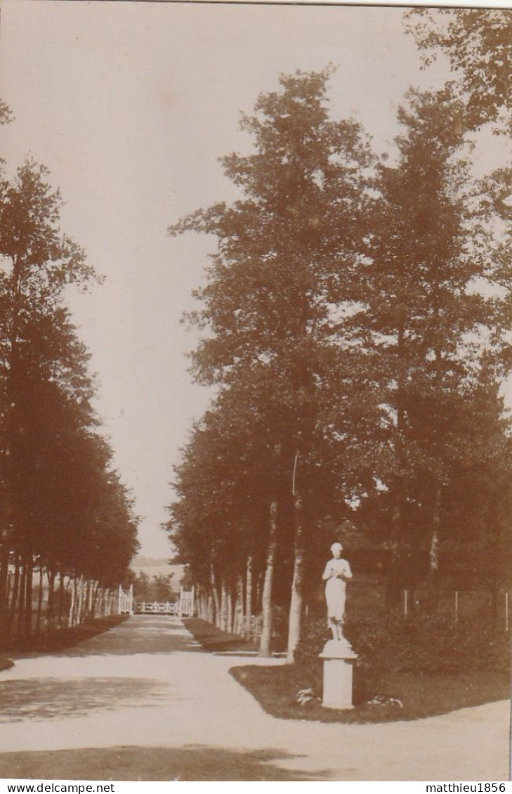 Photo 1902 VITTEL - Une Vue Du Parc (A254) - Vittel