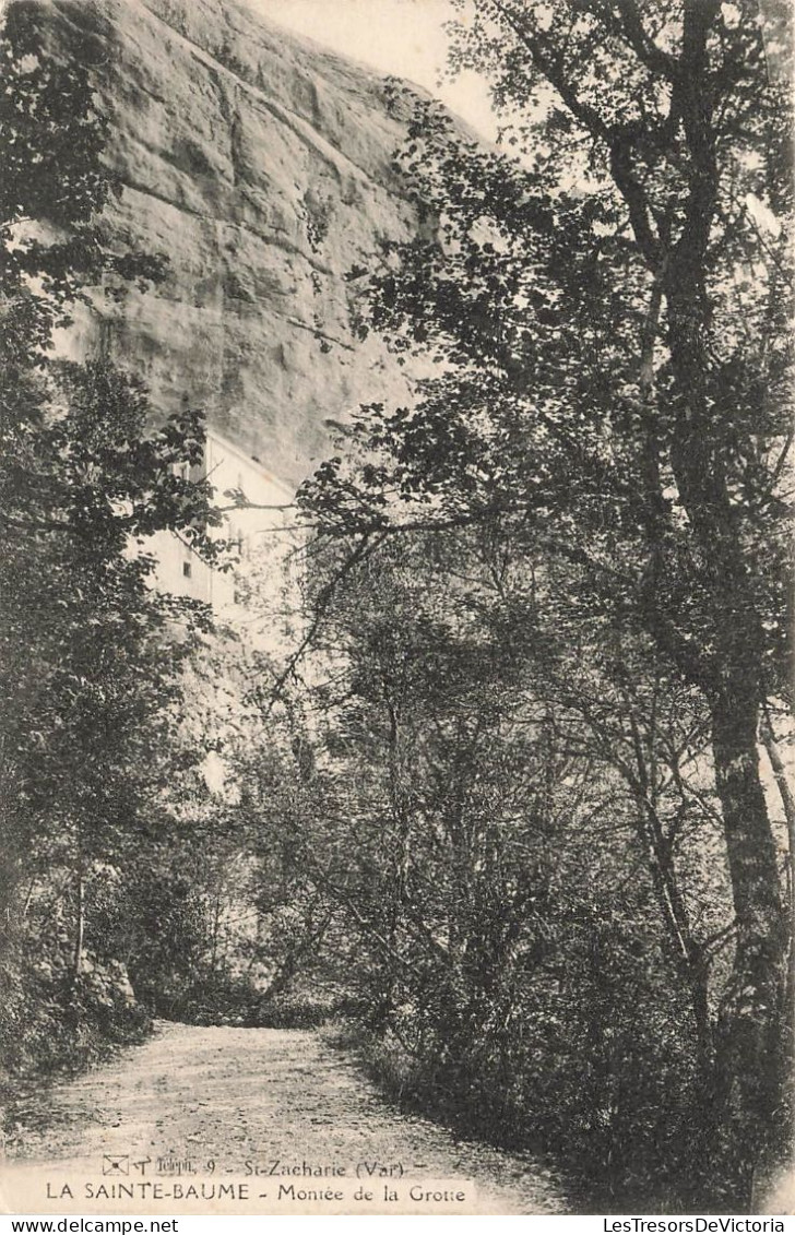 FRANCE - St Zacharie (Var) - La Sainte Baume - Montée De La Grotte - Vue Sur Une Allée - Carte Postale Ancienne - Saint-Zacharie