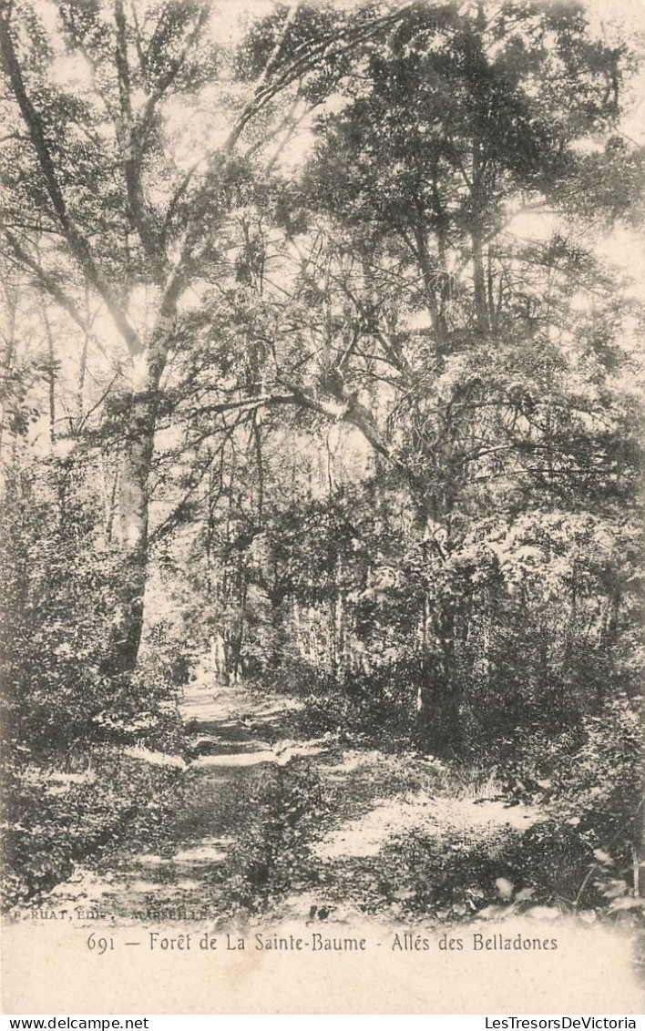 FRANCE - Forêt De La Sainte Baume - Allés Des Belladones - Vue Sur Une Allée En Forêt - Carte Postale Ancienne - Saint-Zacharie