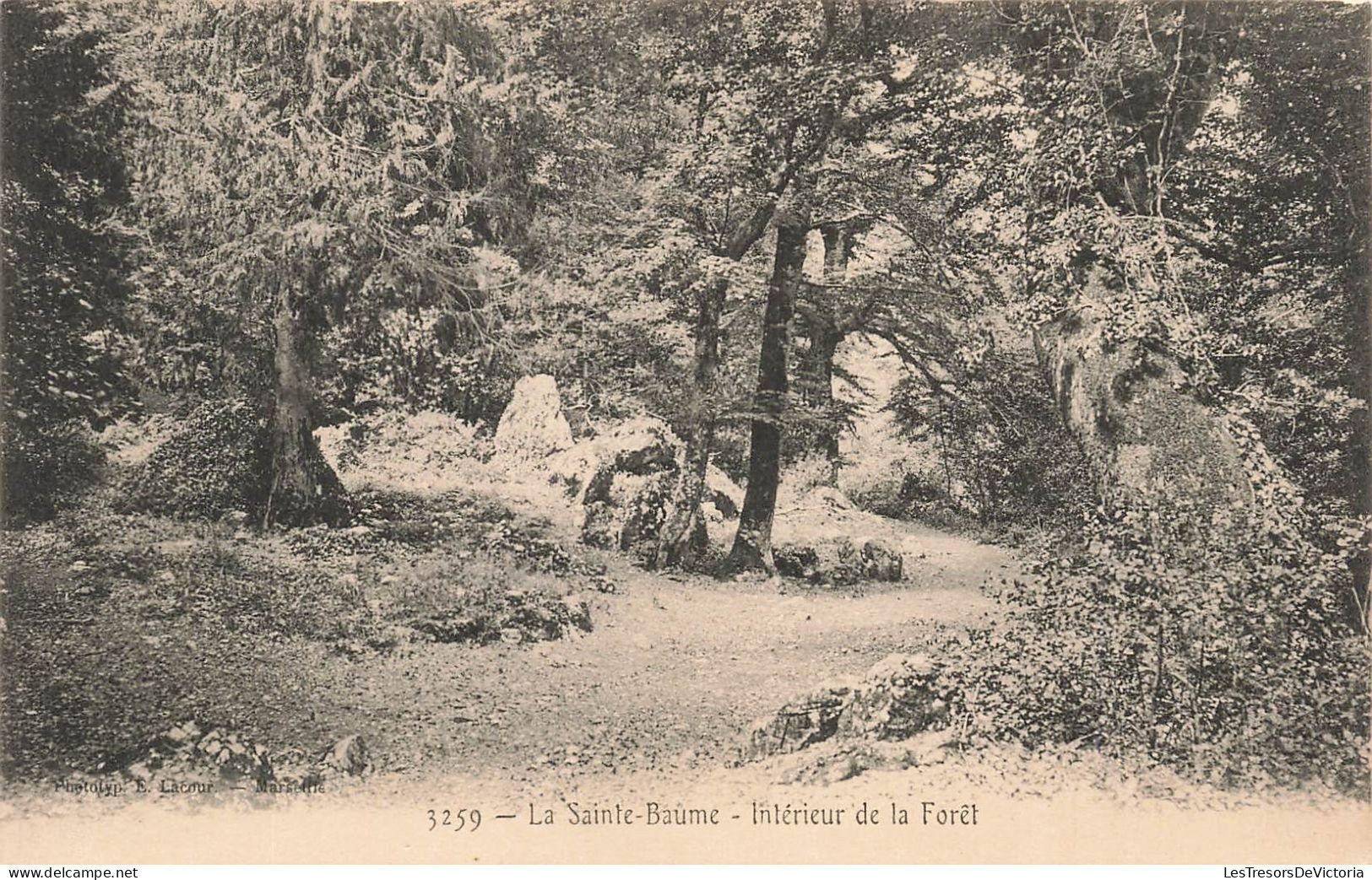 FRANCE - La Sainte Baume - Vue à L'intérieur De La Forêt - Un Petit Chemin Dans La Forêt - Carte Postale Ancienne - Saint-Zacharie