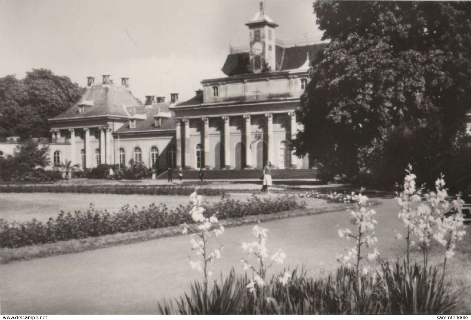 83325 - Dresden-Pillnitz - Schloss Und Park, Neues Palais - 1975 - Pillnitz