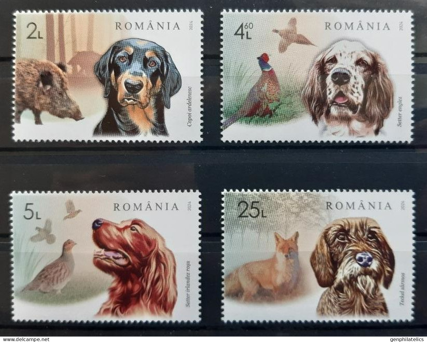 ROMANIA 2024 FAUNA Animals HUNTING DOGS - Fine Set MNH - Ongebruikt