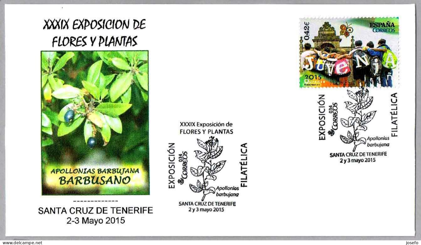 Exposicion De Plantas - BARBUSANO - APOLLONIAS BARBUJANA. Santa Cruz Tenerife, Canarias, 2015 - Trees