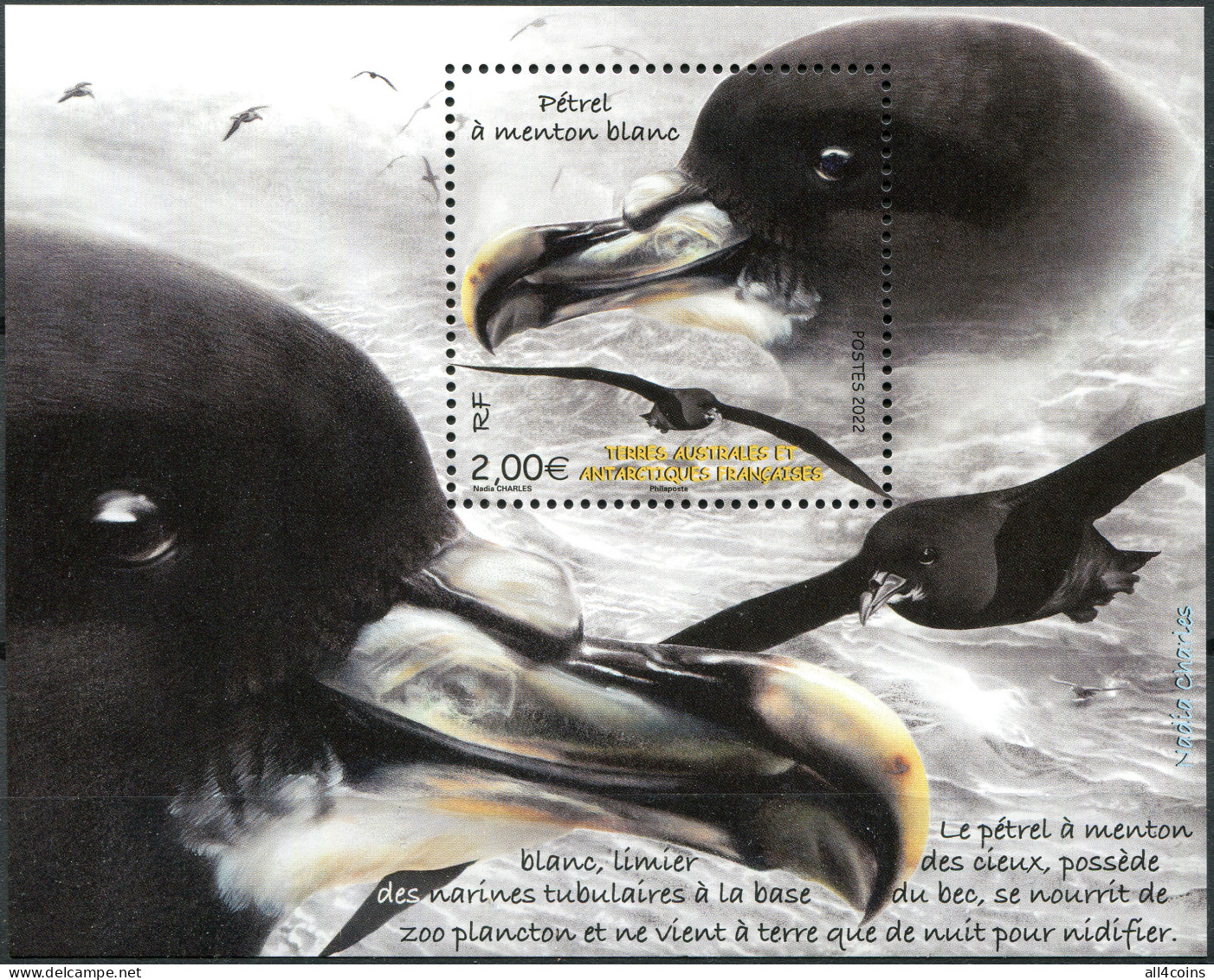 TAAF 2022. White-Chinned Petrel (MNH OG) Souvenir Sheet - Unused Stamps