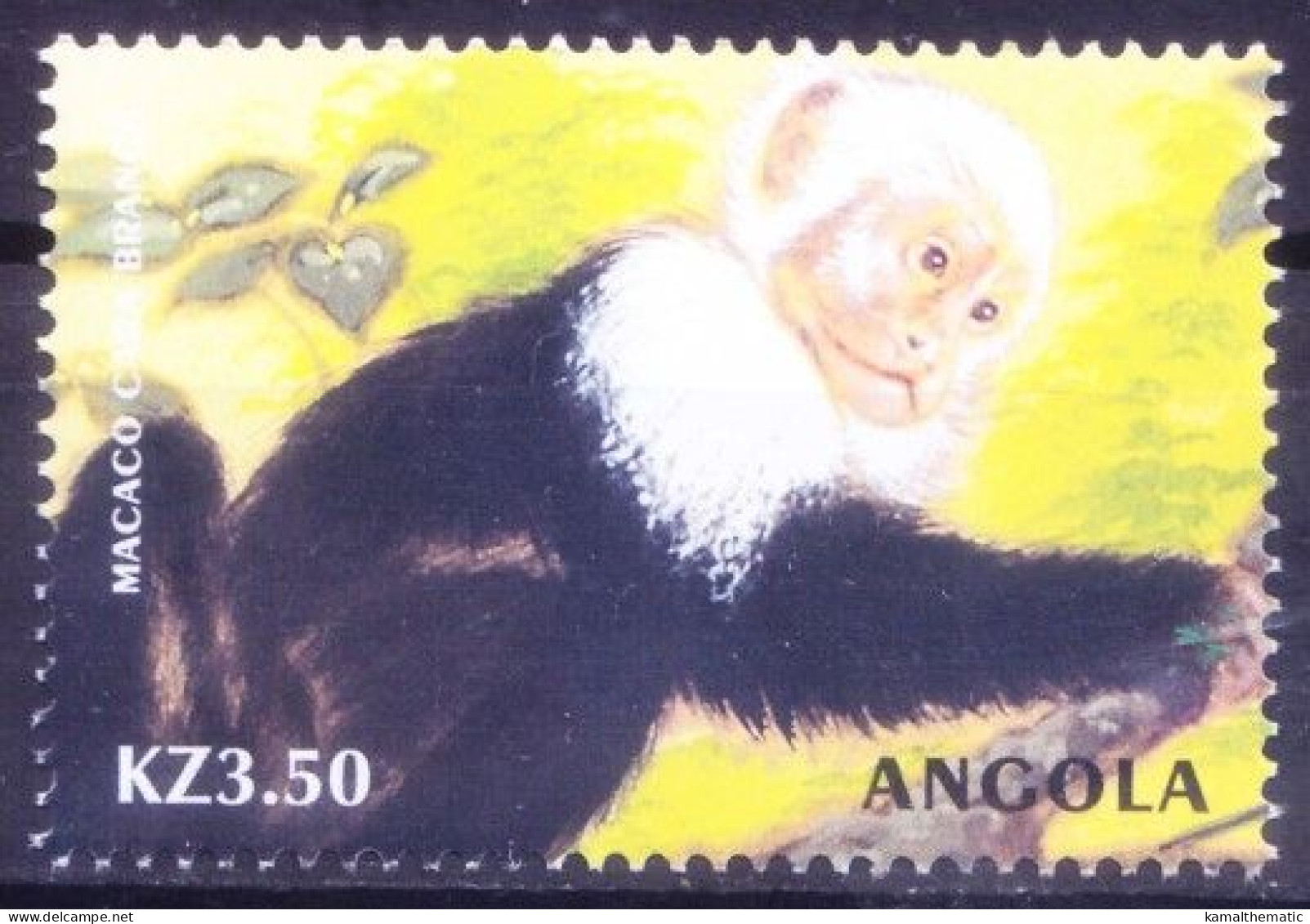 Angola 2000 MNH, Humboldt's White-fronted Capuchin, Monkey - Monkeys