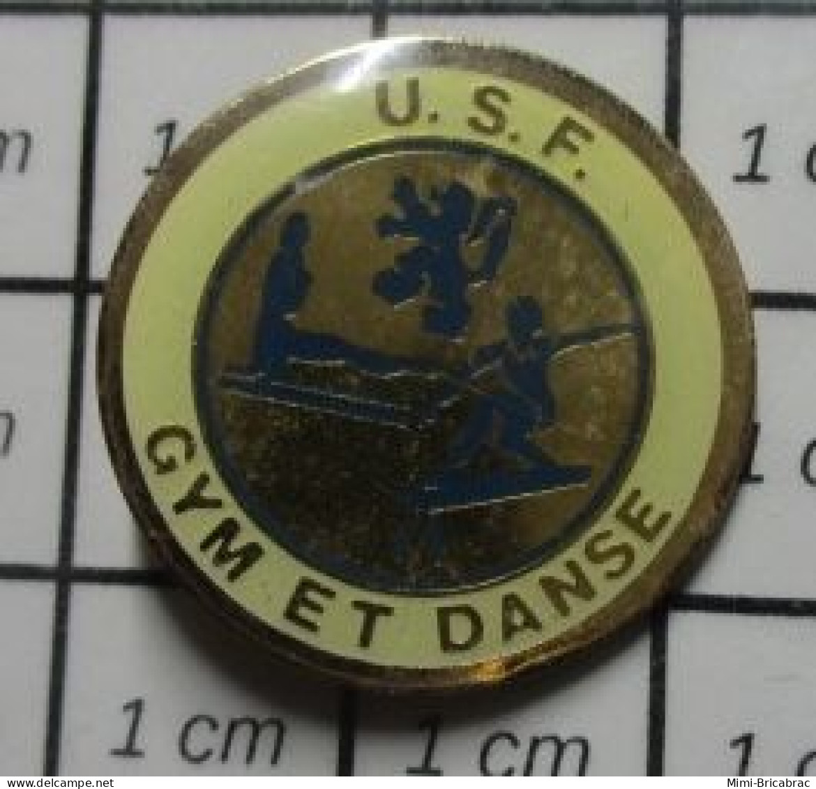 1216B  Pin's Pins / Beau Et Rare / SPORTS / CLUB USF GYM ET DANSe - Gymnastiek