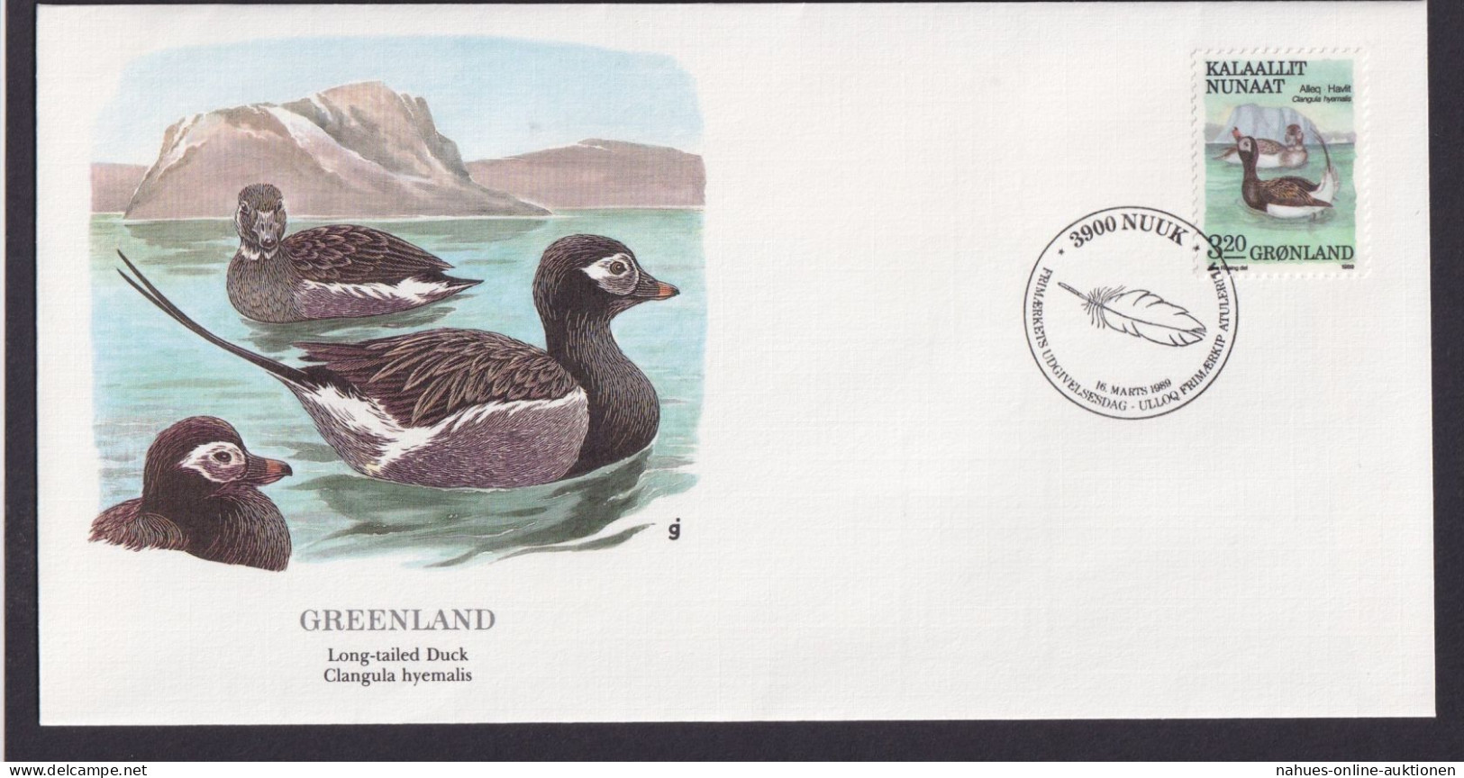 Greenland Grönland Fauna Tiere Spießente Schöner Künstler Brief - Lettres & Documents