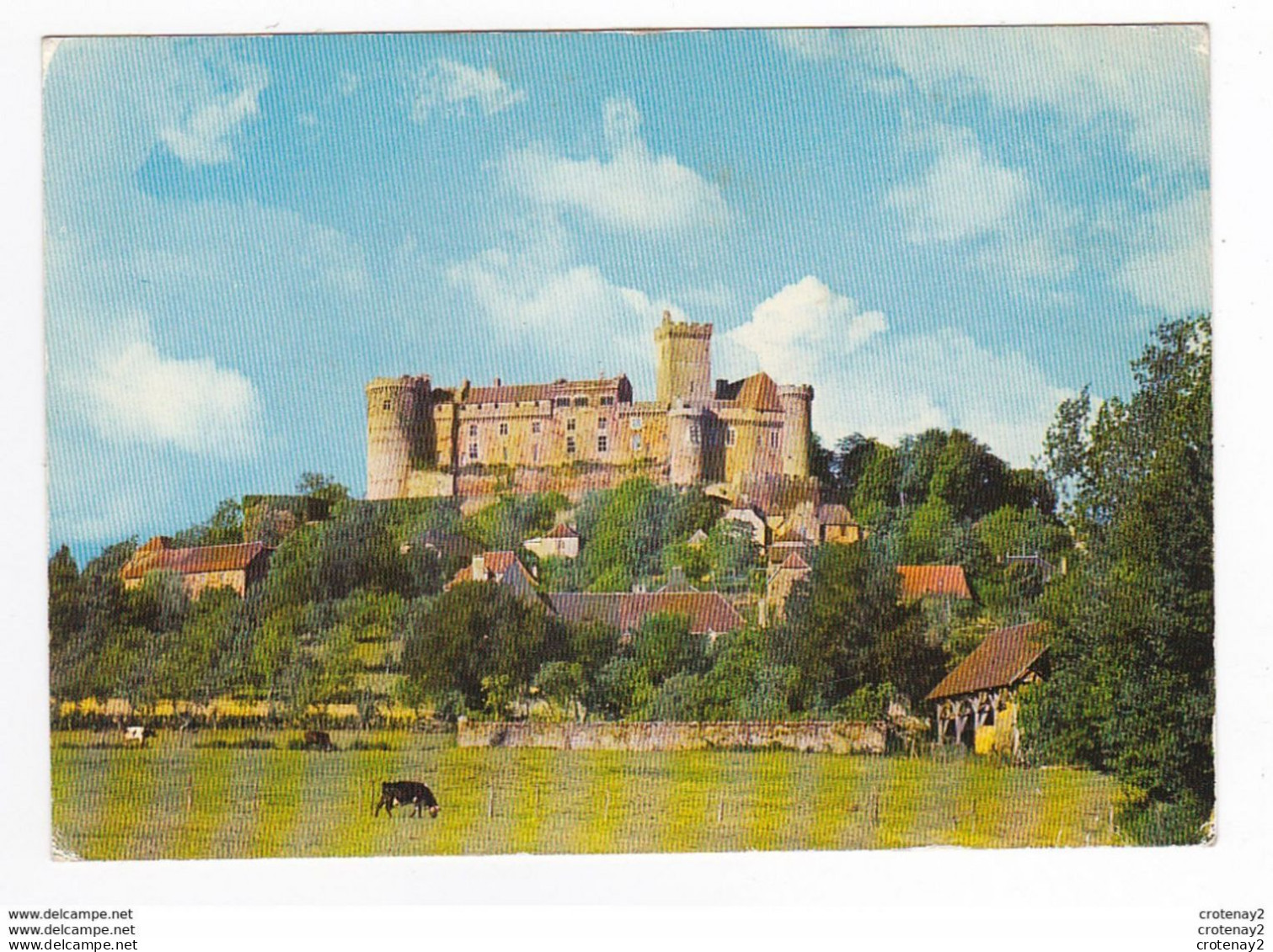 46 CASTELNAU BRETENOUX N°101 Le Château Vaches - Bretenoux