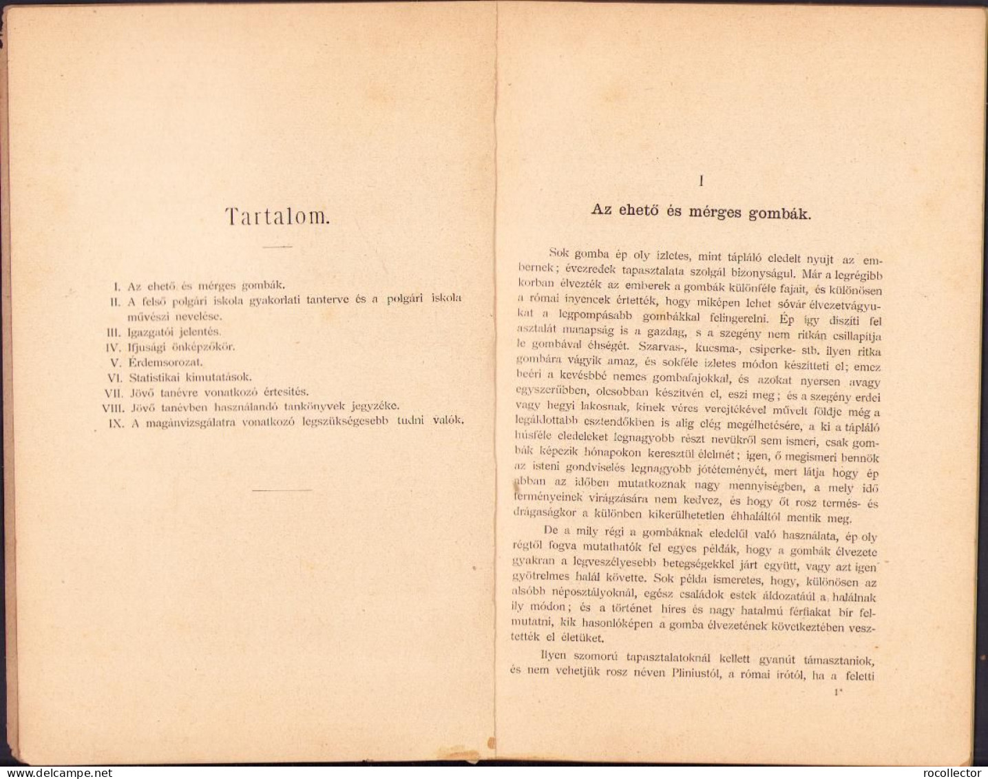 A Karánsebesi állami Elemi Fiú és Leányiskola értésitője Az 1902-1903 Iskolai évről C1402 - Oude Boeken