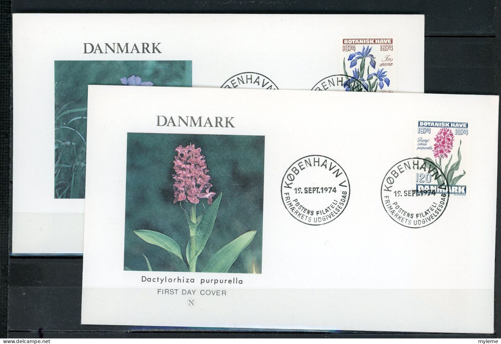 Z38-11-2 Danemark FDC 1er Jour N°  Fleurs  A Saisir !!! - Autres & Non Classés