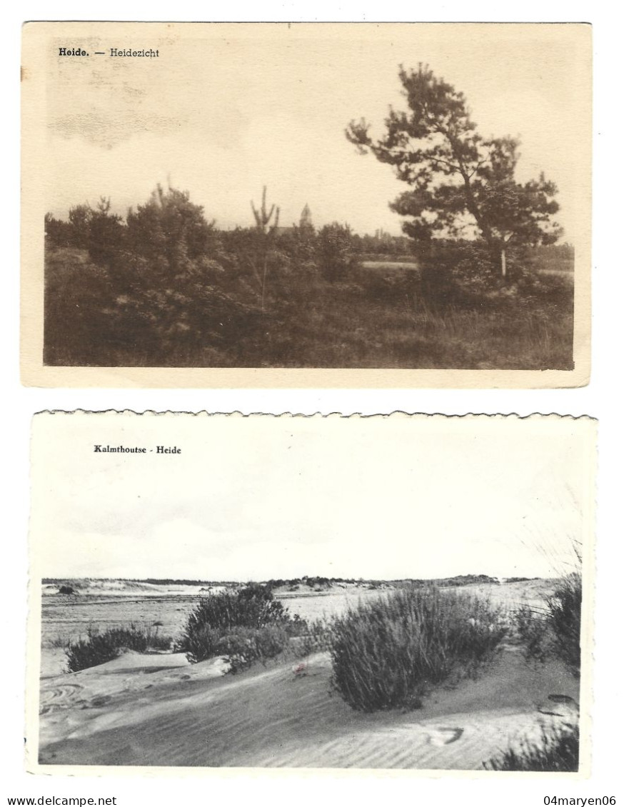 ***  2  X  HEIDE  ***   --  Zie / Voir / See / Scan's - Kalmthout