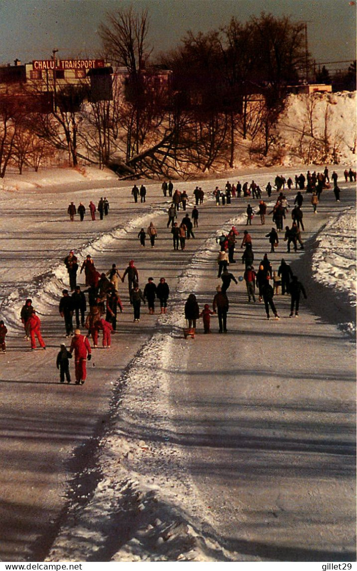 JOLIETTE, QUÉBEC - PATINOIRE SUR LA RIVIÈRE L'ASSOMPTION - CIRCULÉE EN 1986 - LIBRAIRIE RENÉ MARTIN INC - - Other & Unclassified