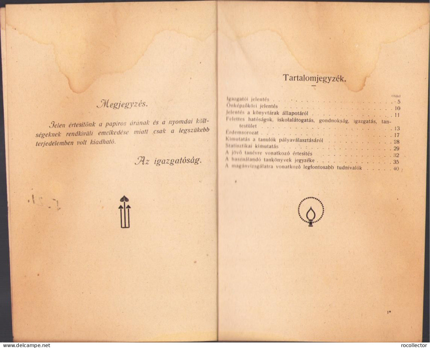 A Karánsebesi Magyar állami Polgári Fiú és Leányiskola értésitője Az 1918-1919 Tanévről C1389 - Libros Antiguos Y De Colección