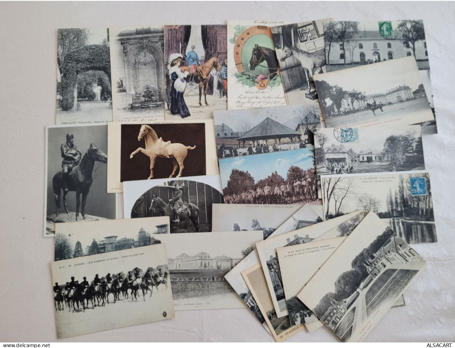 Lot De 30 Carte Theme Cheval , Dont Cartes Photos , Bon Lot , Petit Prix - Chevaux