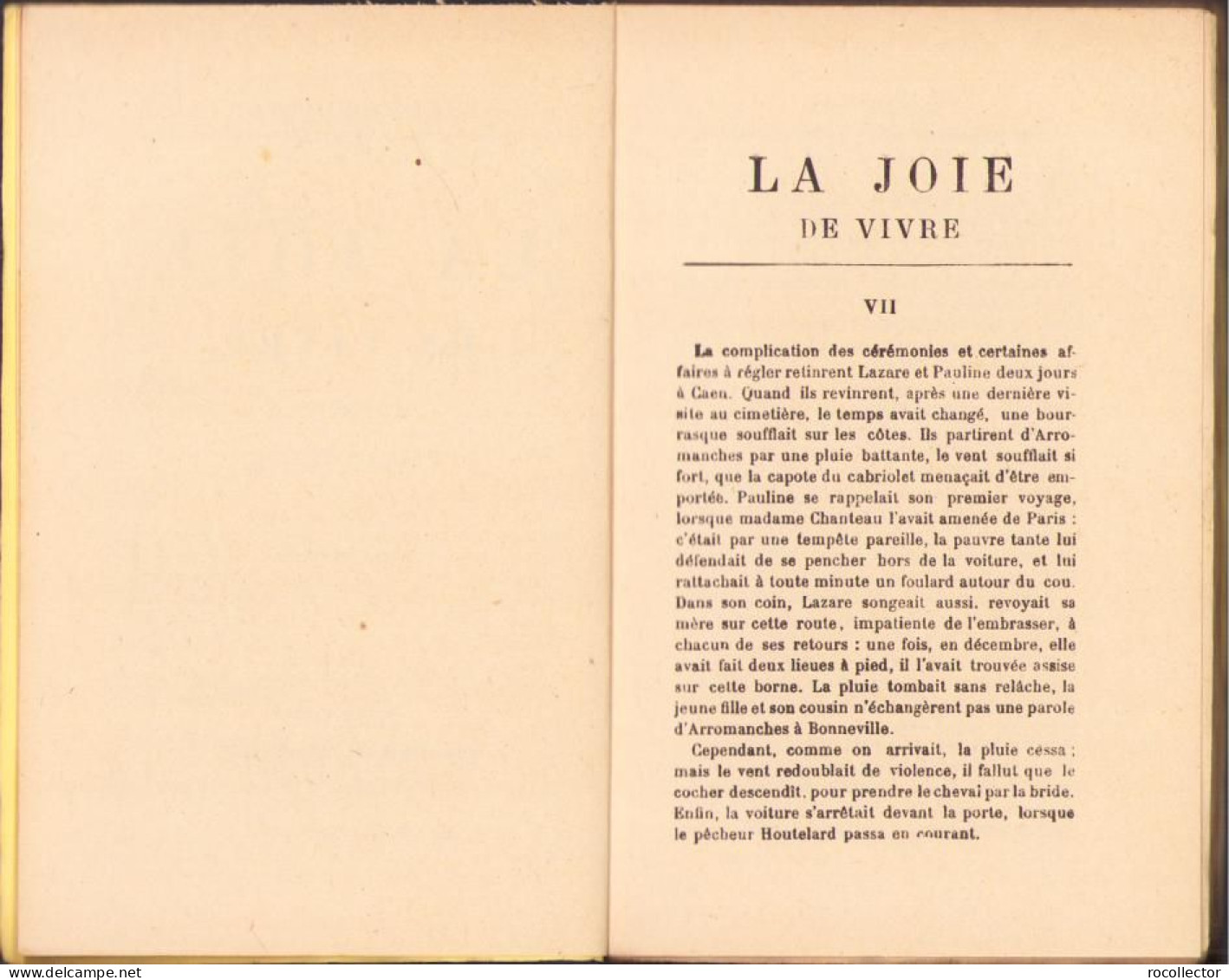 La Joie De Vivre De Emile Zola, Tome I + II, Paris C1329 - Libri Vecchi E Da Collezione