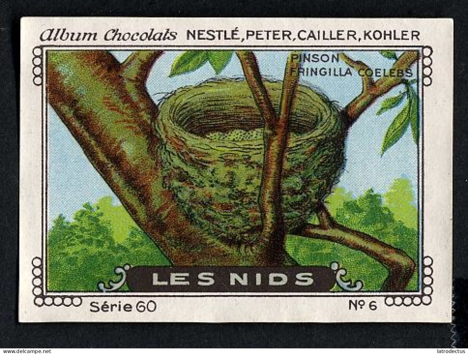 Nestlé - 60 - Les Nids, Bird Nests - 6 - Pinson Des Arbres, Fringilla Coelebs, Chaffinch, Vink - Nestlé