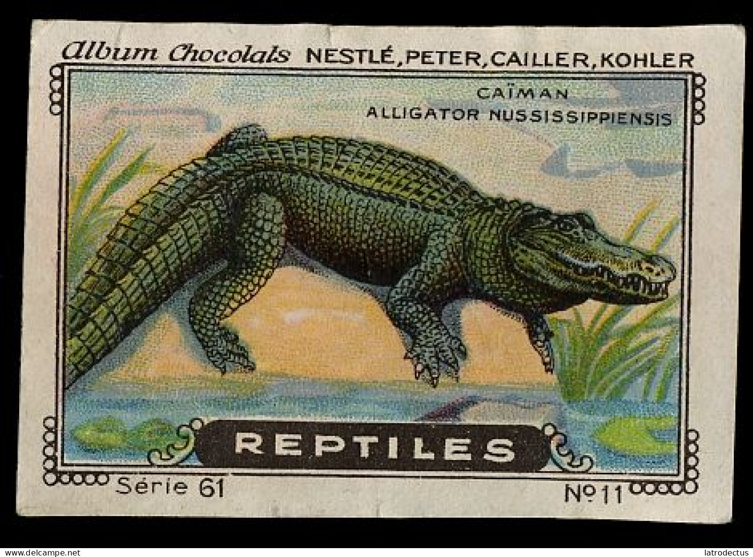 Nestlé - 61 - Reptiles - 11 - Alligator - Nestlé
