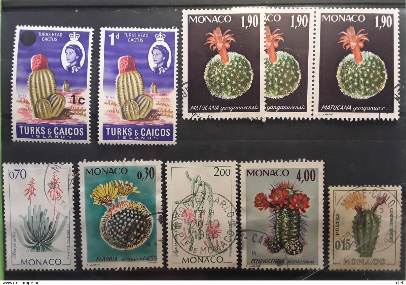 CACTUS , Lot De 10 Timbres Neufs ** MNH / O De Monaco Et Turks & Caicos , TB - Cactus