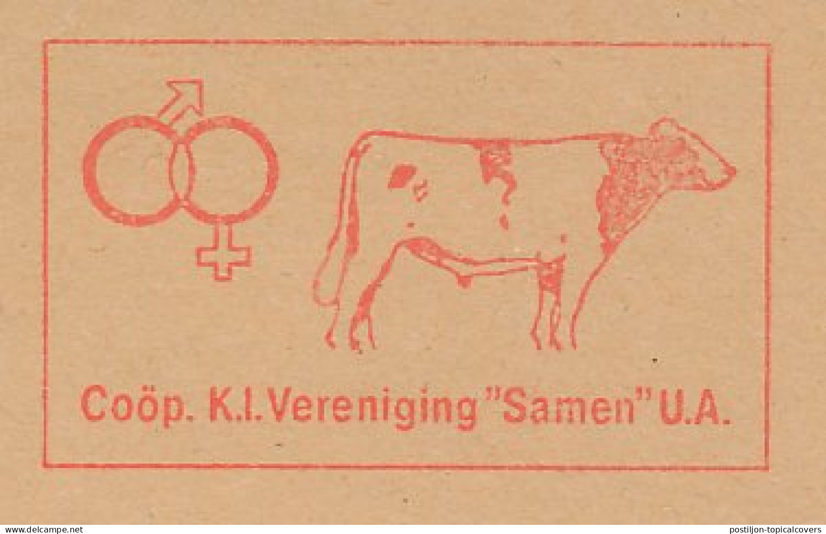 Meter Cut Netherlands 1992 Bull - Co-operative Artificial Insemination Association - Ferme