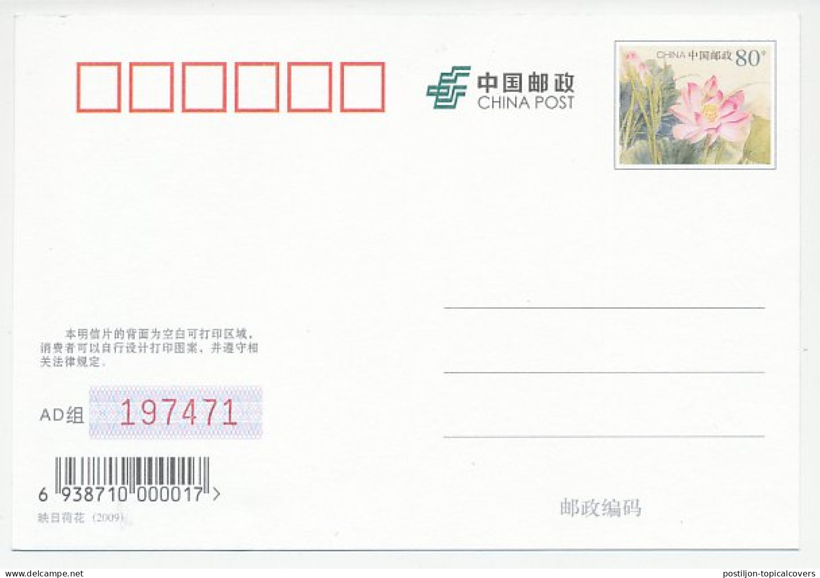 Postal Stationery China 2009 Polar Bear - Arctische Expedities