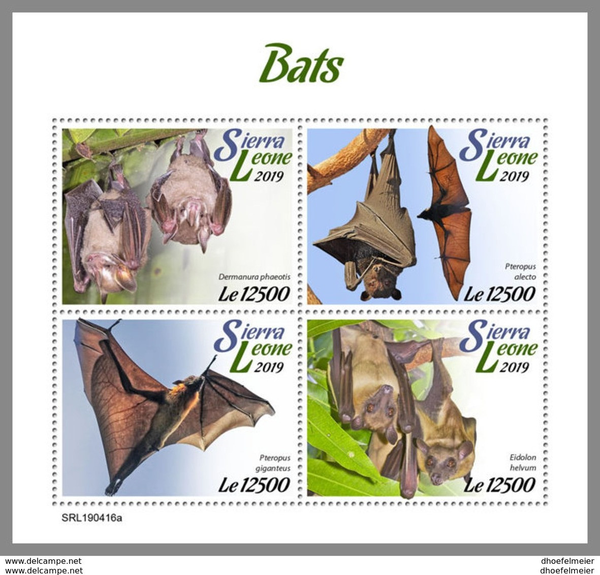 SIERRA LEONE 2019 MNH Bats Fledermäuse Chauves-souris M/S - OFFICIAL ISSUE - DH1922 - Murciélagos