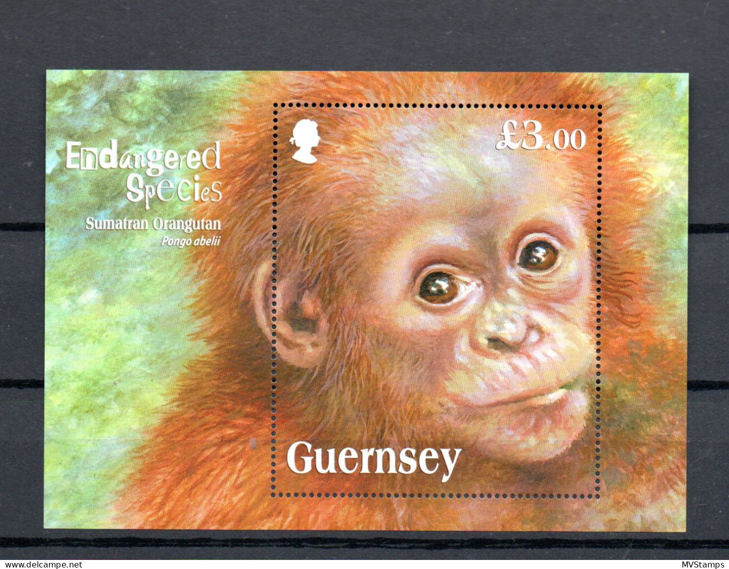 Guernsey 2014 Sheet Monkey/Orangutan Stamps (Michel Block 68) Nice MNH - Guernesey