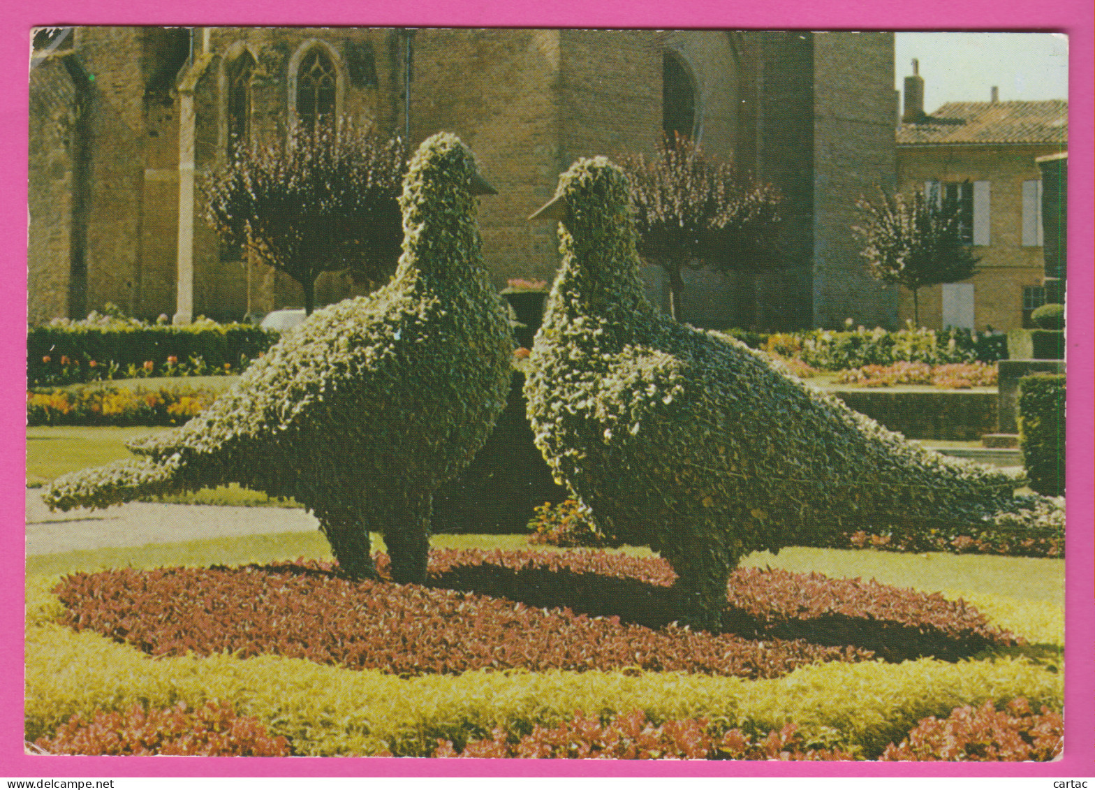 D81 - LAVAUR - MOTIF DES 2¨PIGEONS - PHOTO BIMOUAT - CPM Grand Format  - Lavaur