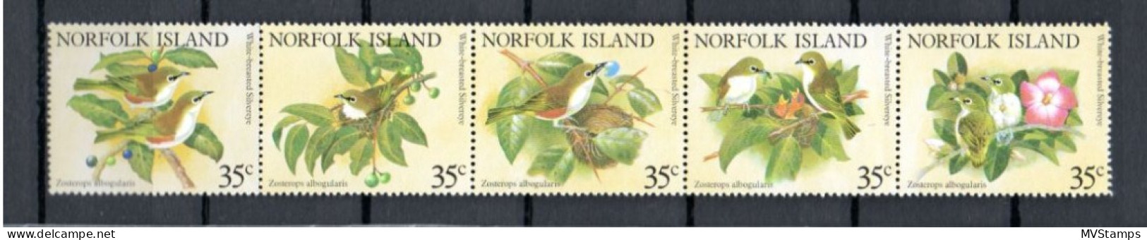 Norfolk Islands 1981 Set Birds/Vogel Stamps (Michel 271/75) Nice MNH - Ile Norfolk