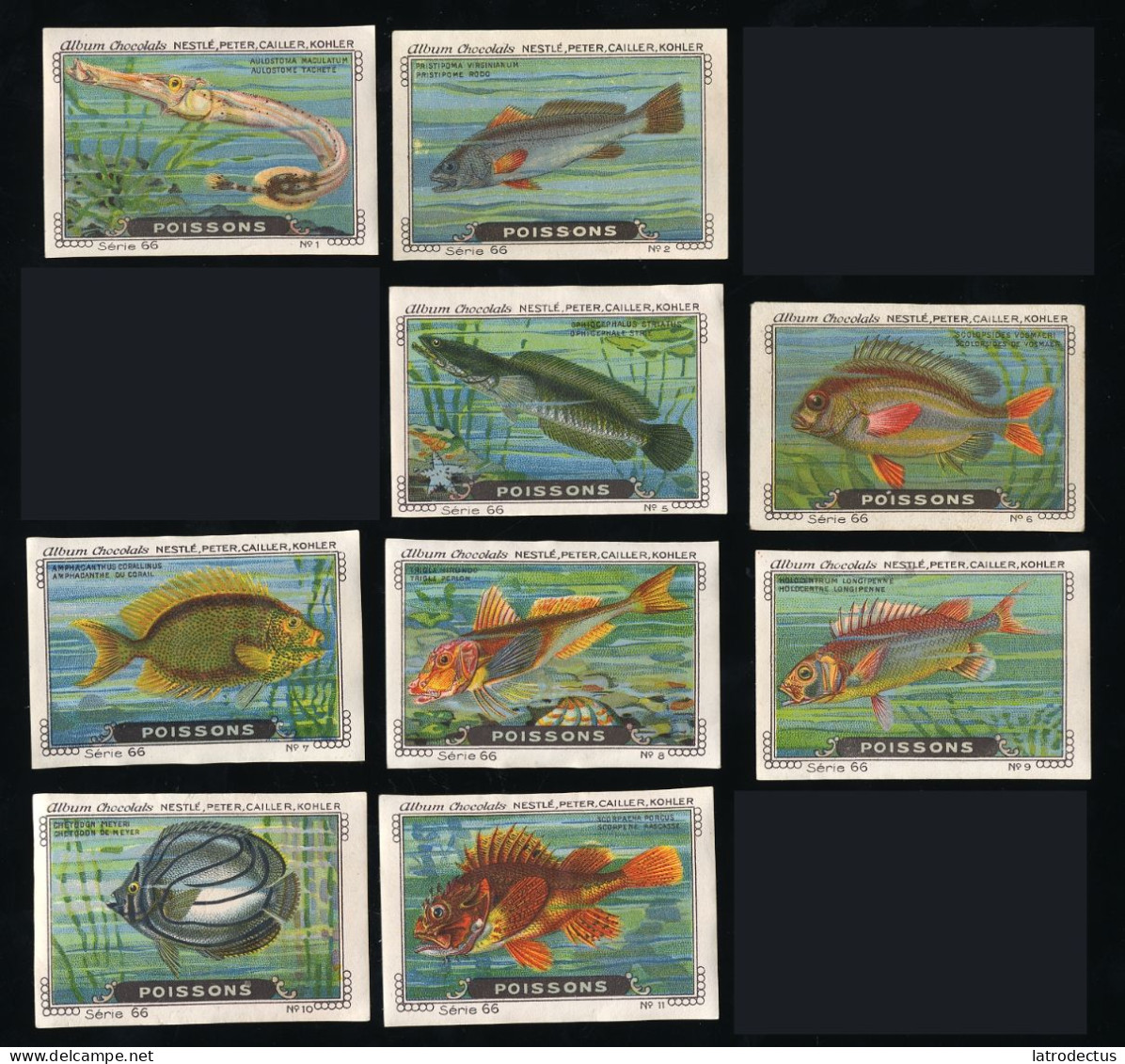 Nestlé - 66 - Poissons, Fish - Serie (3 Missing) - Nestlé