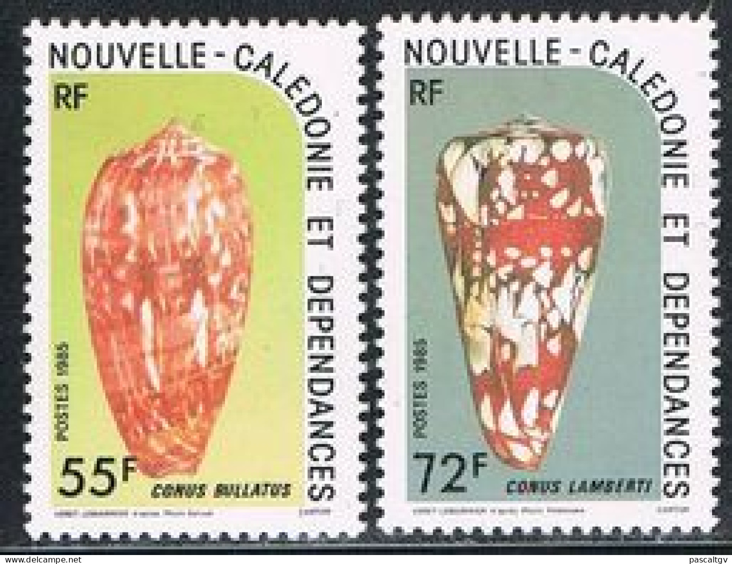 Nouvelle Calédonie - 1985 - Paire N°498/499 ** - Unused Stamps