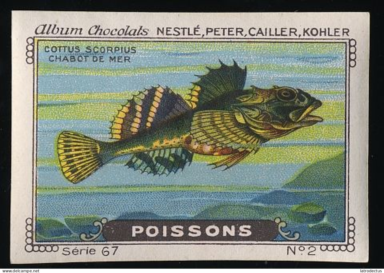 Nestlé - 67 - Poissons, Fish - 2 - Chabot De Mer, Longspined Bullhead - Nestlé