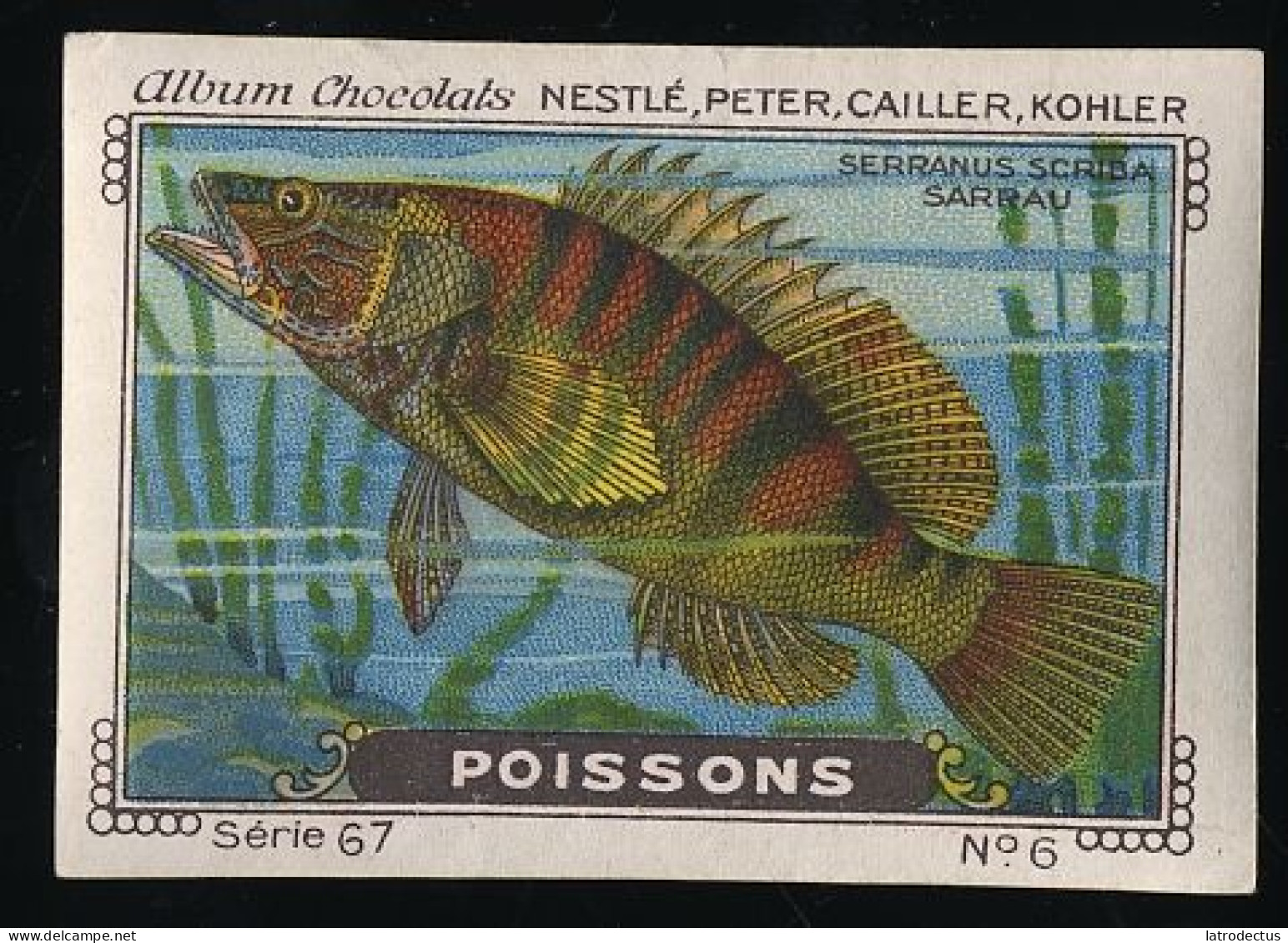 Nestlé - 67 - Poissons, Fish - 6 - Sarrau - Nestlé