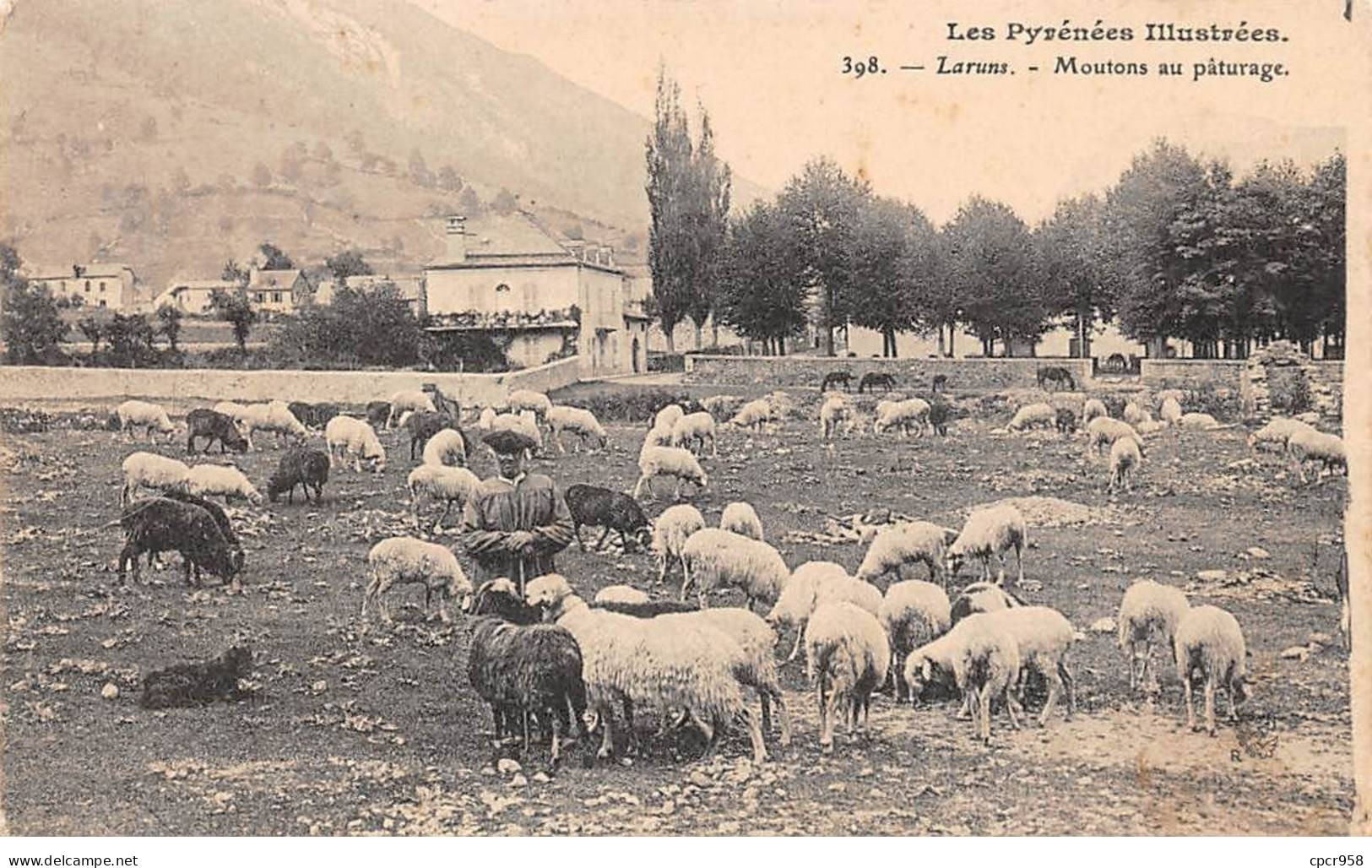 64 - SAN62968 - LARUNS - Moutons Au Pâturage - Laruns