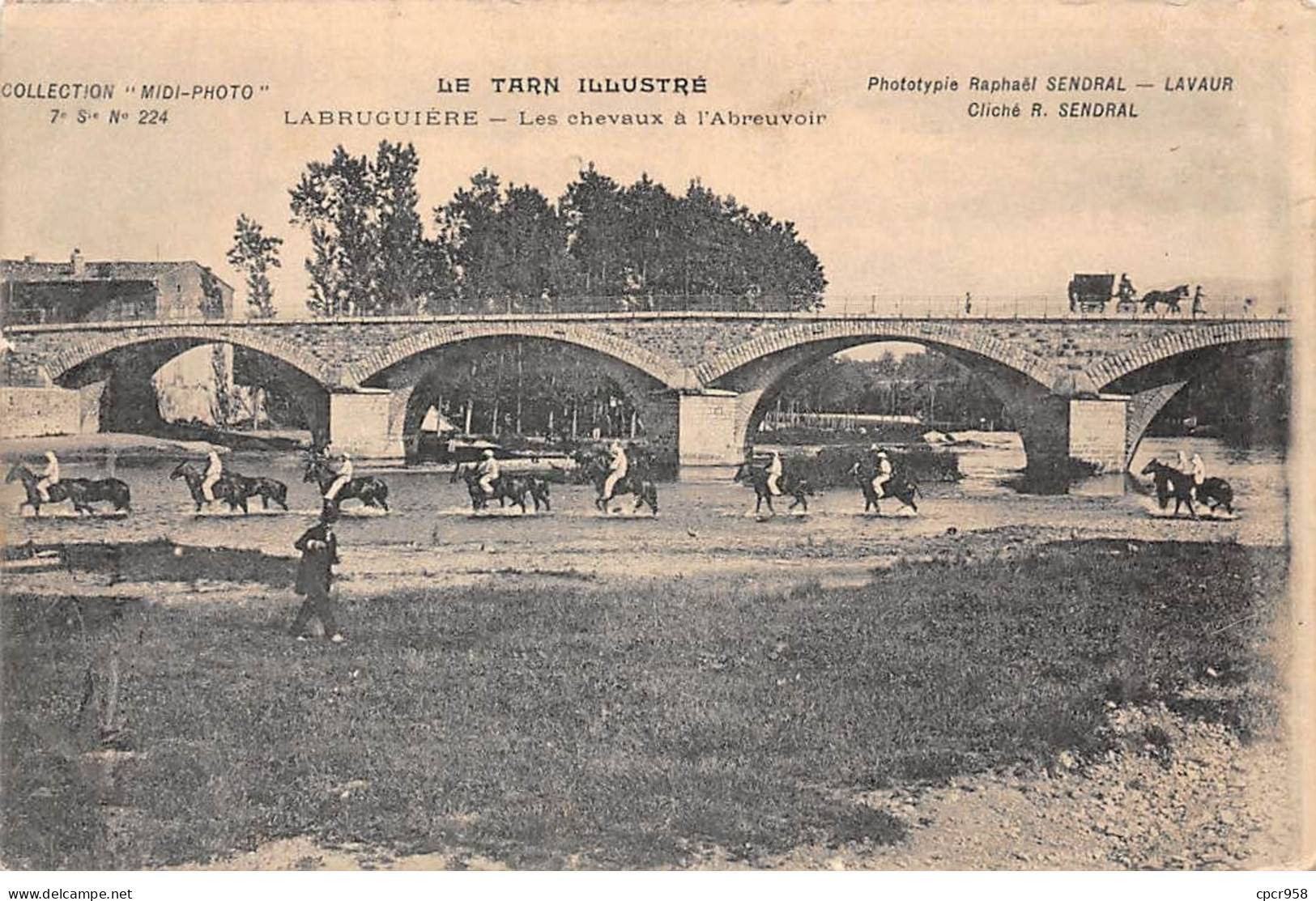 81 - LABRUGUIERE - SAN66058 - Les Chevaux à L'abreuvoir - Labruguière