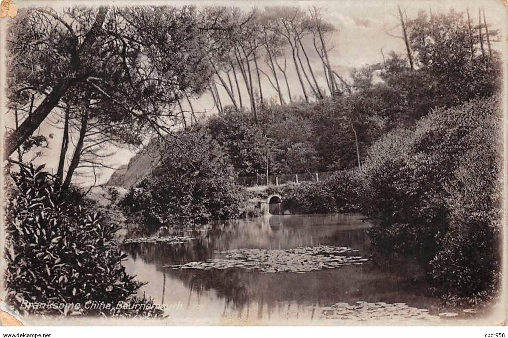 Royaume-Uni - N°91590 - Angleterre - BOURNEMOUTH - Branksome Chine - Un étang - Carte Photo - Bournemouth (hasta 1972)