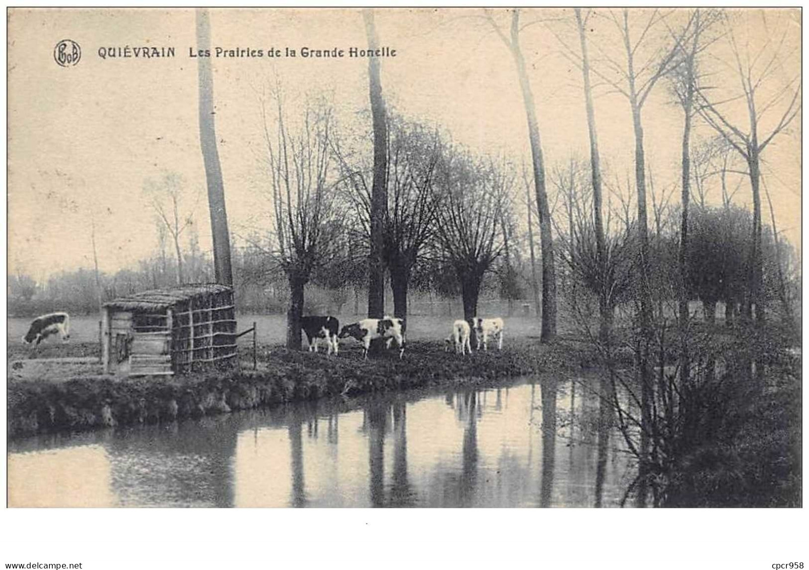 Belgique. N°47525 . Quievrain. Les Prairies De La Grande Honelle - Quievrain