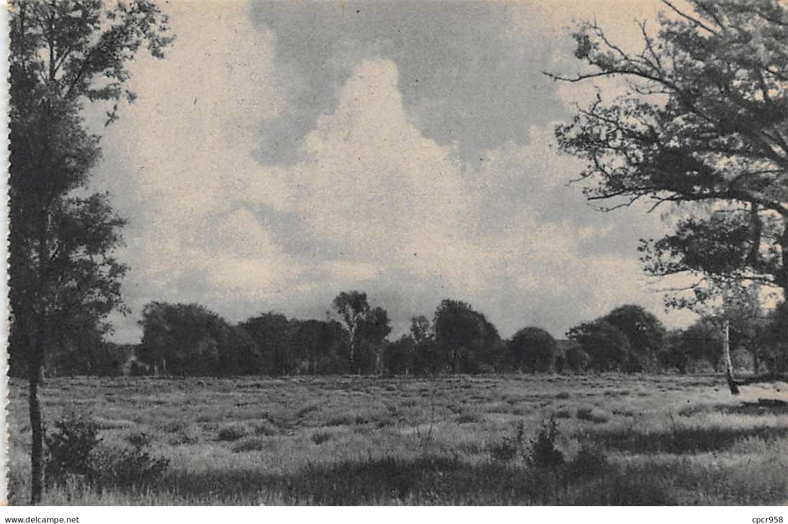 Scoutisme - N°83100 - N°5 Jamboree 1947 - Vue Du Terrain De Moisson - Scoutismo