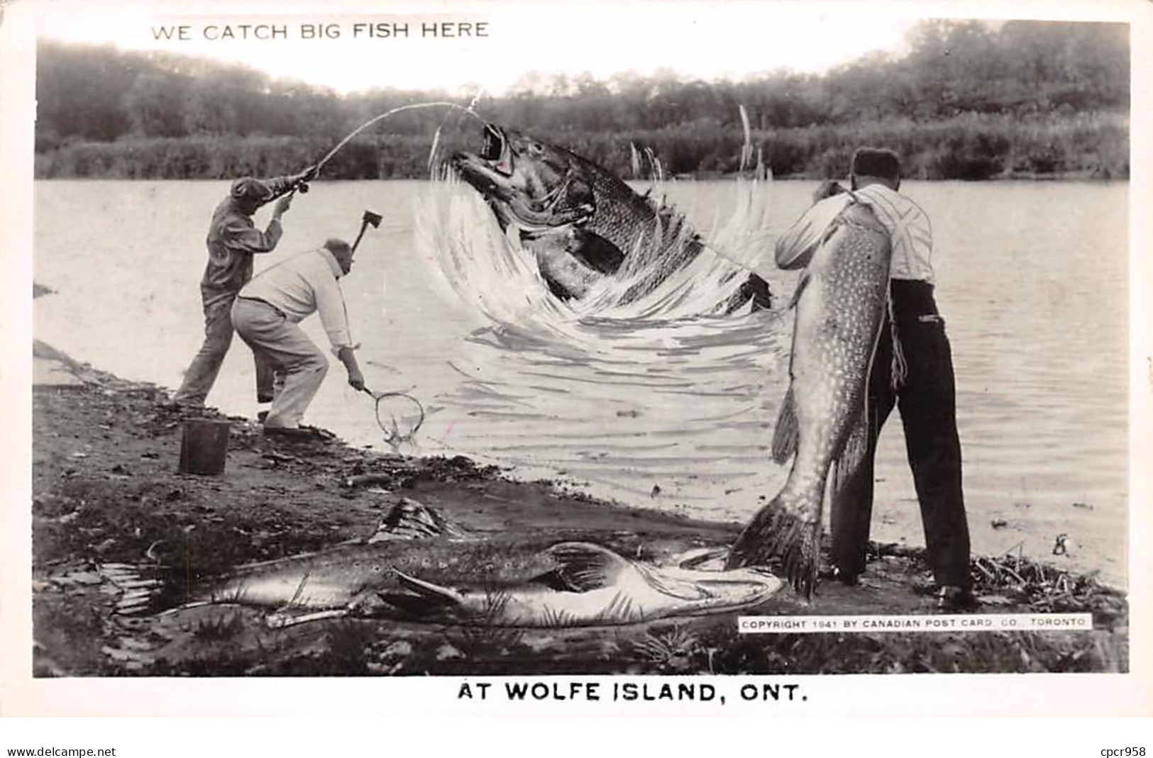 Sports - N°67110 - Pêche - We Catch Big Fish Here - At Wolfe Island, Ont - Surréalisme Et Montage - Pesca