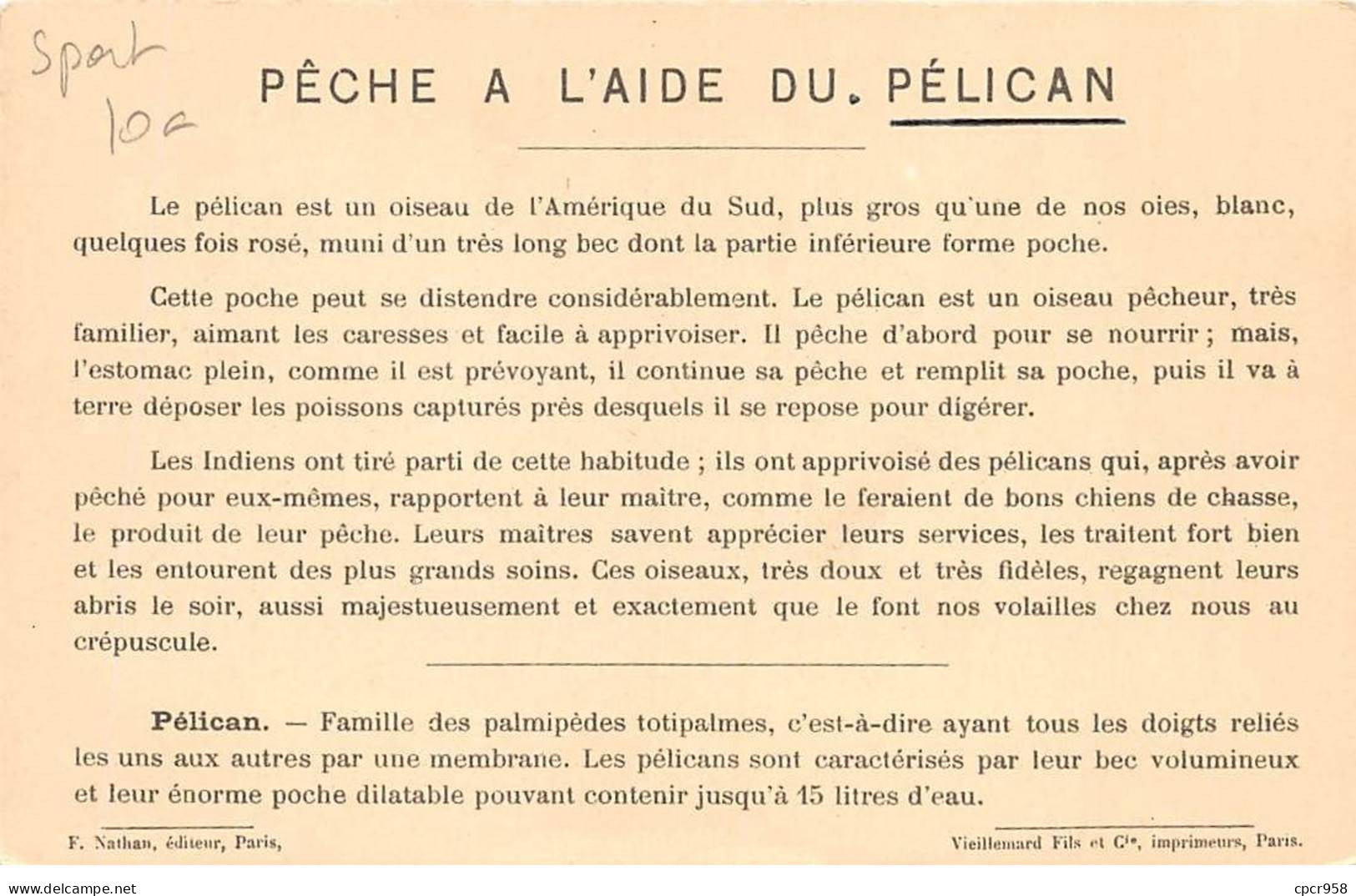 Sports - N°83016 - Pêche D'Eau Douce - A L'aide Du Pélican (auxiliaire) (Amérique Du Sud) - Visvangst