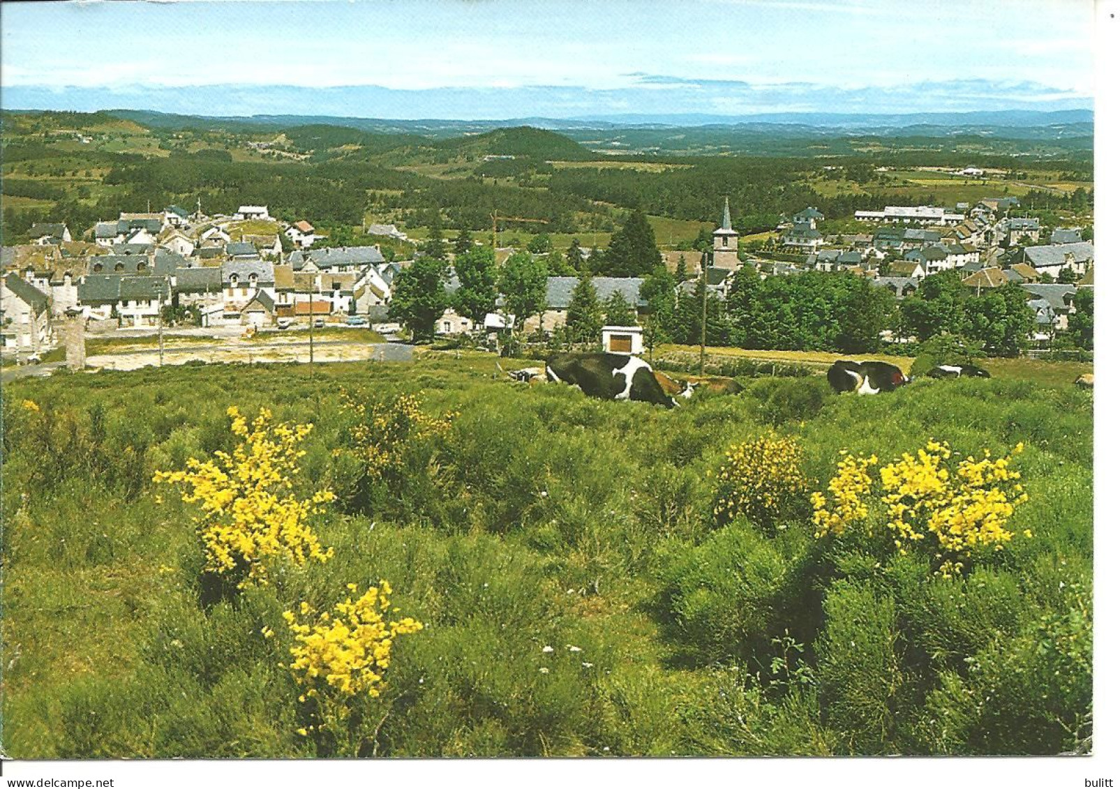 AUMONT AUBRAC - Vue Générale Du Village - Aumont Aubrac