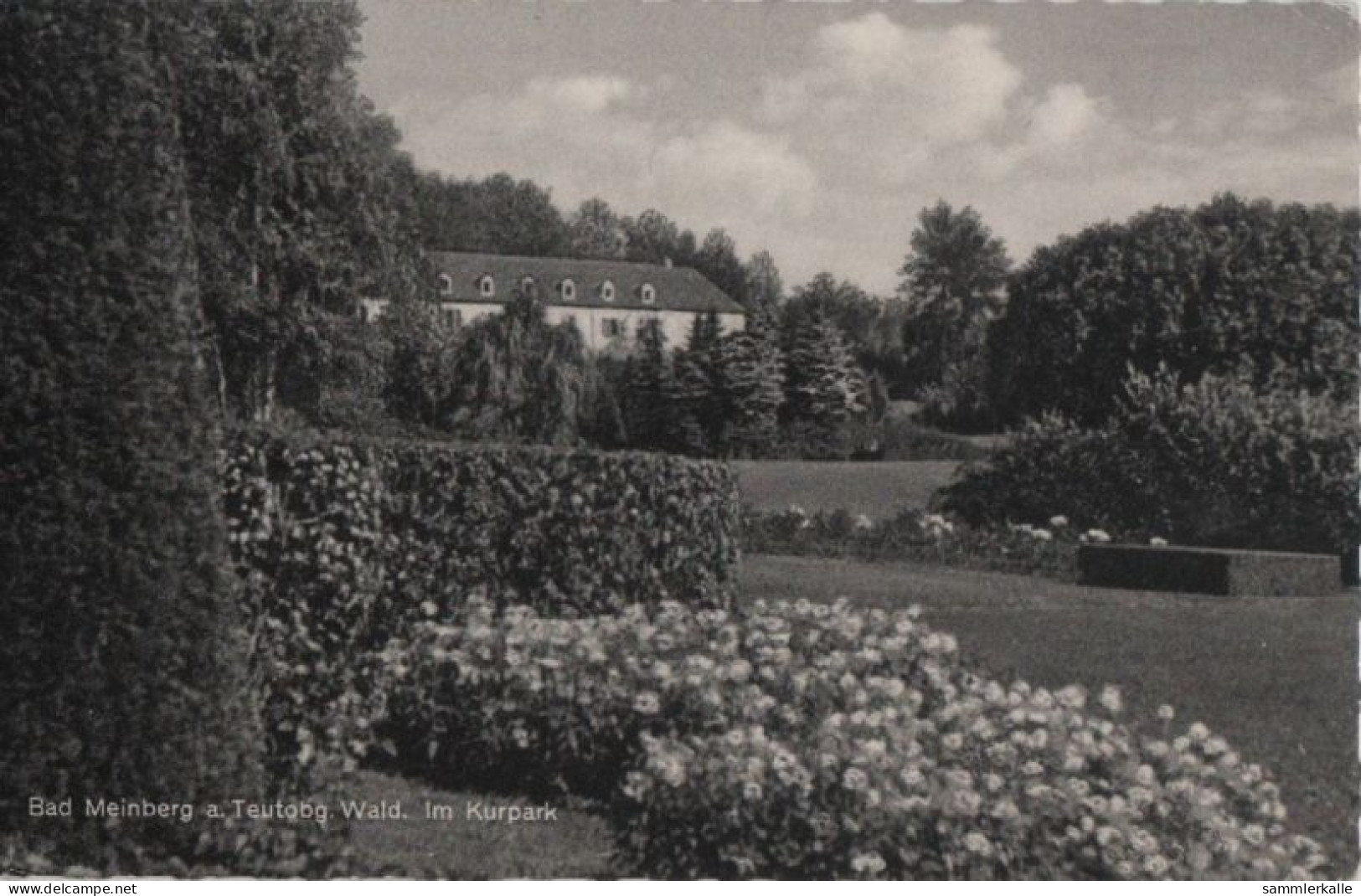 70158 - Bad Meinberg - Im Kurpark - 1959 - Bad Meinberg