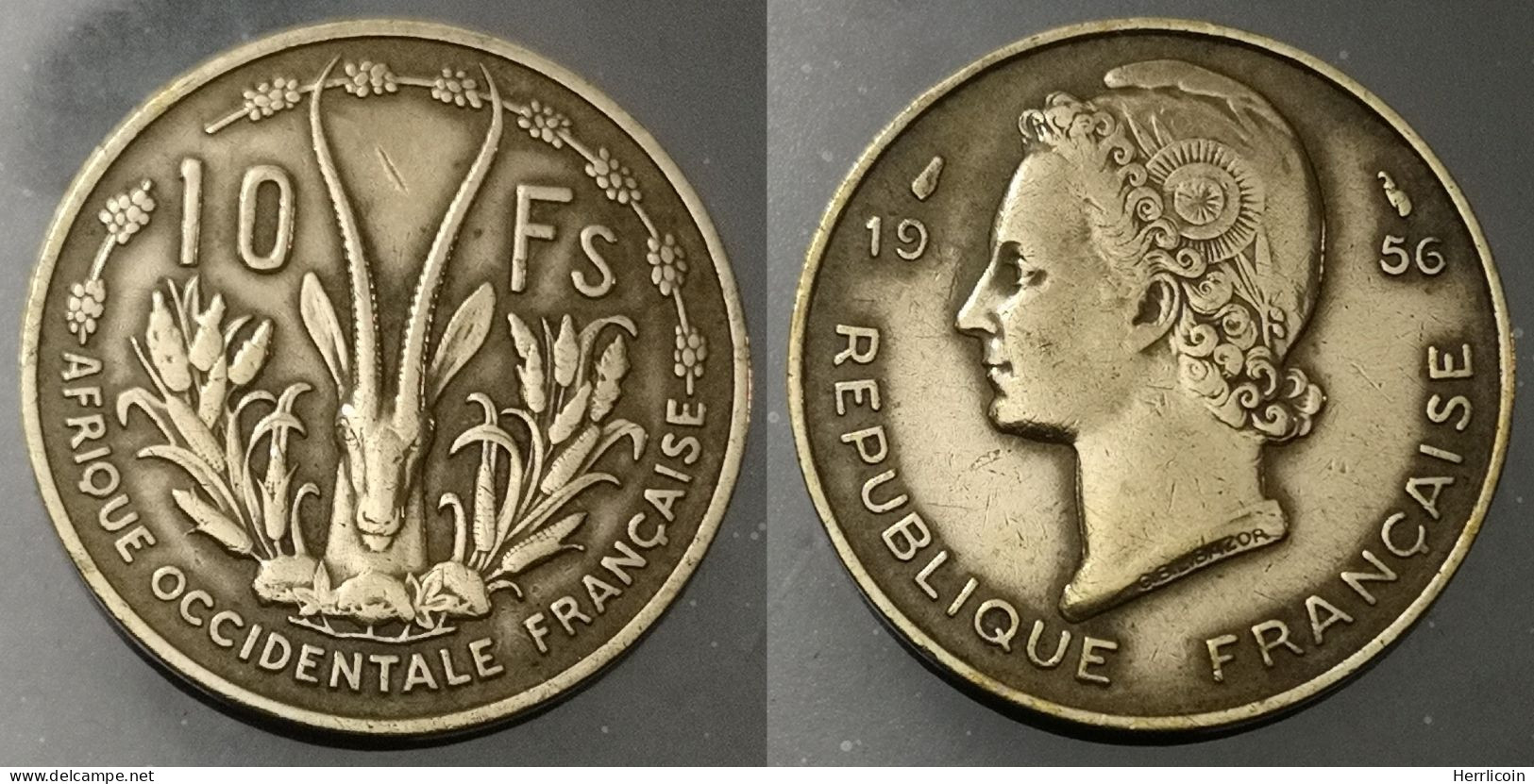 Monnaie Afrique Occidentale Francaise - 1956 - 10 Francs - Africa Occidentale Francese