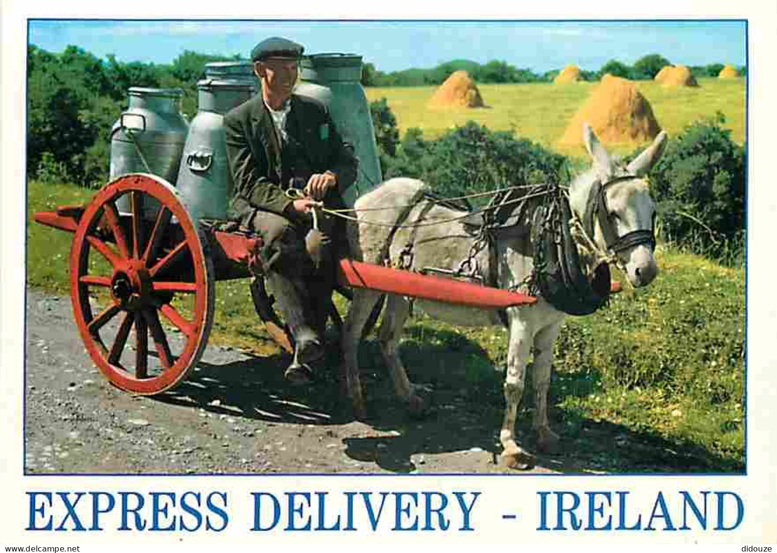 Irlande - Express Delivery - Anes - Pots De Lait - Charrette - CPM - Voir Scans Recto-Verso - Other