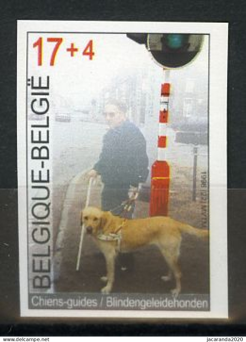 België 2789 ON - Solidariteit - Blindengeleidehonden - Chien-guide  - Otros & Sin Clasificación