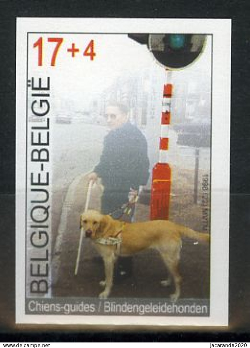 België 2789 ON - Solidariteit - Blindengeleidehonden - Chien-guide  - Other & Unclassified