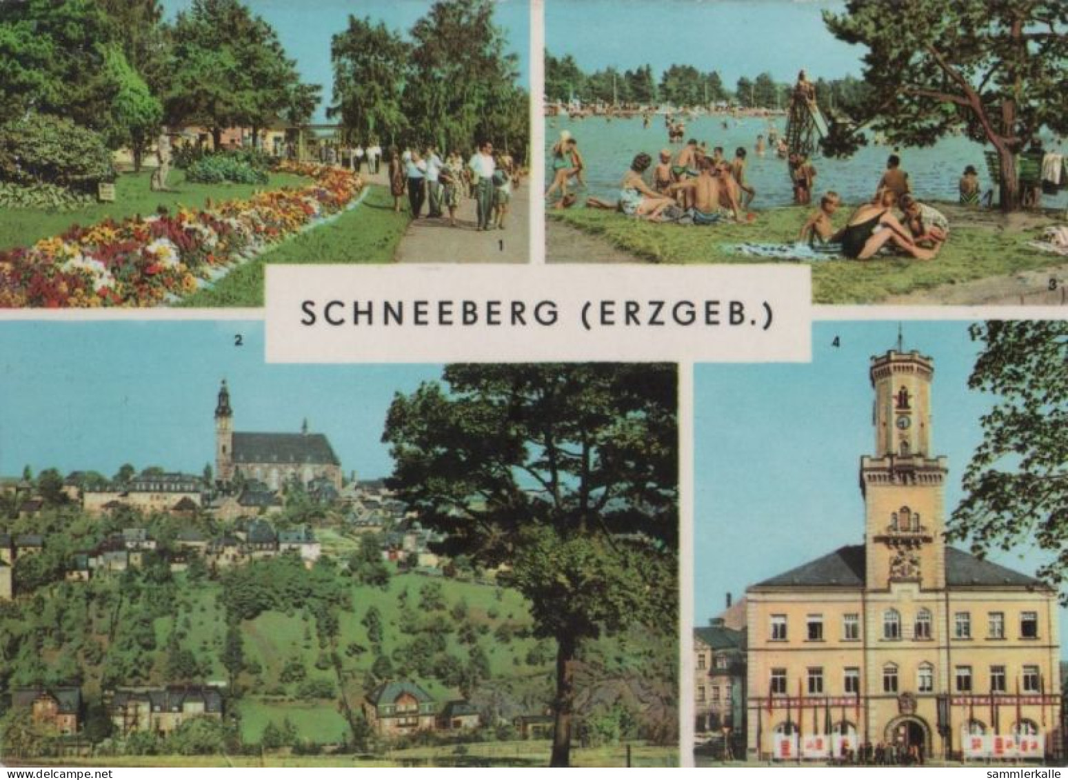 109990 - Schneeberg - 4 Bilder - Schneeberg