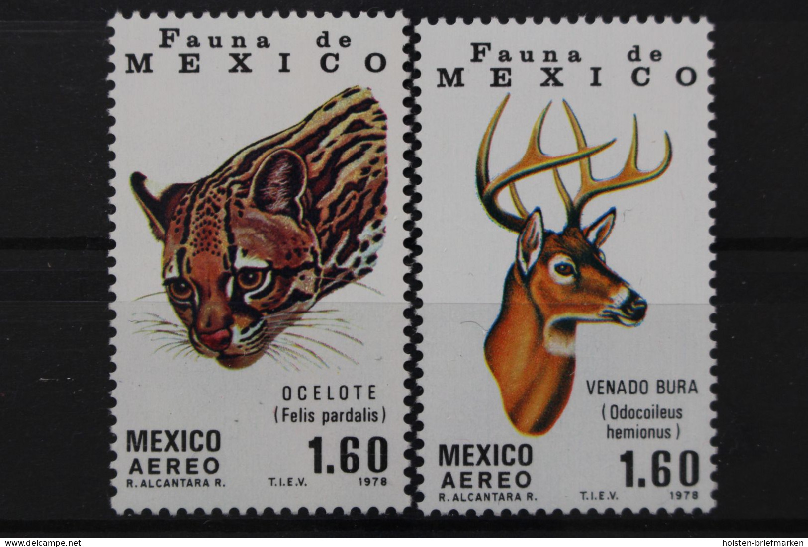 Mexiko, MiNr. 1605-1606, Postfrisch - Mexiko