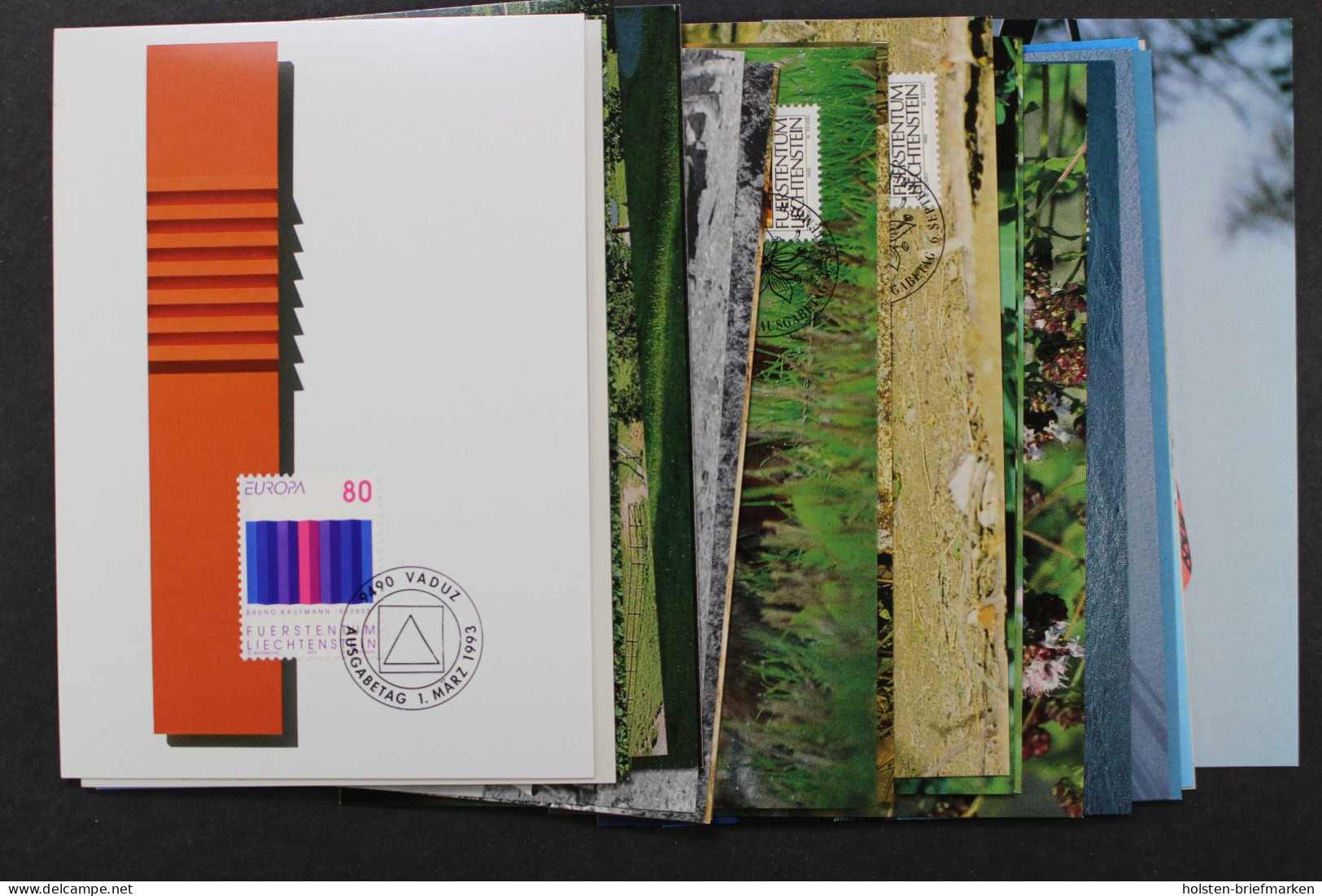 Liechtenstein, MiNr. 1054-1078, Jahrgang 1993, Maximumkarten - Cartas Máxima