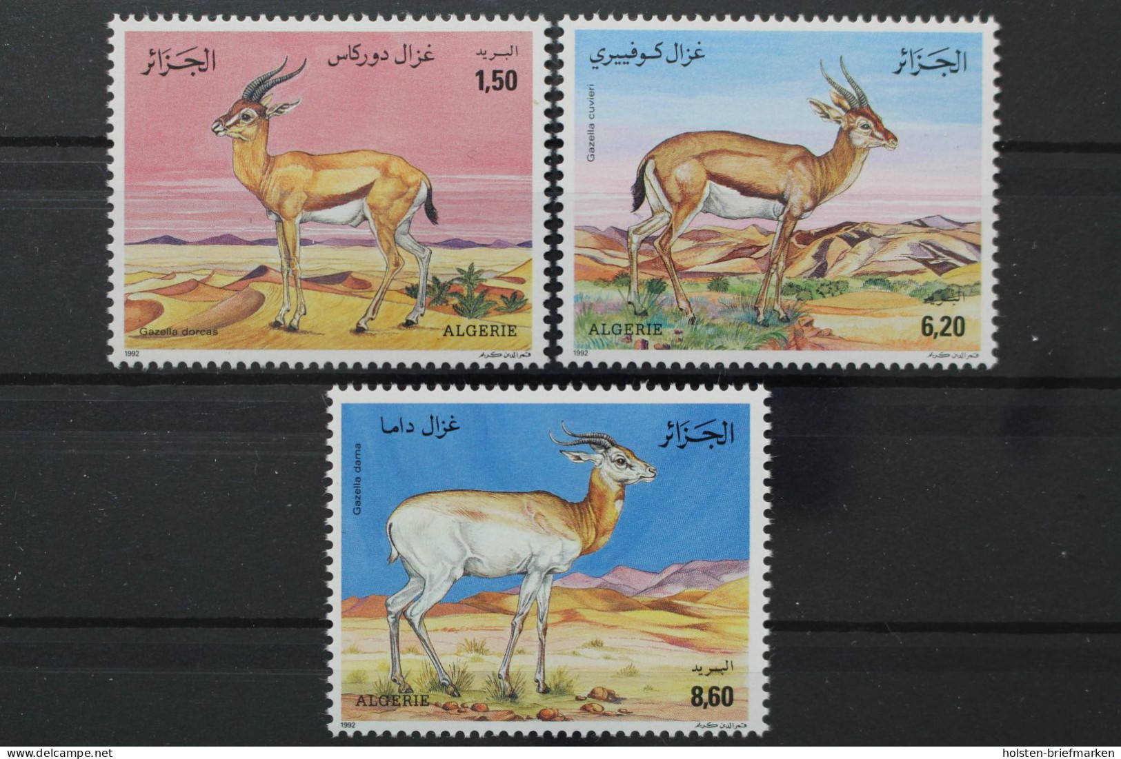 Algerien, MiNr. 1061-1063, Postfrisch - Algeria (1962-...)