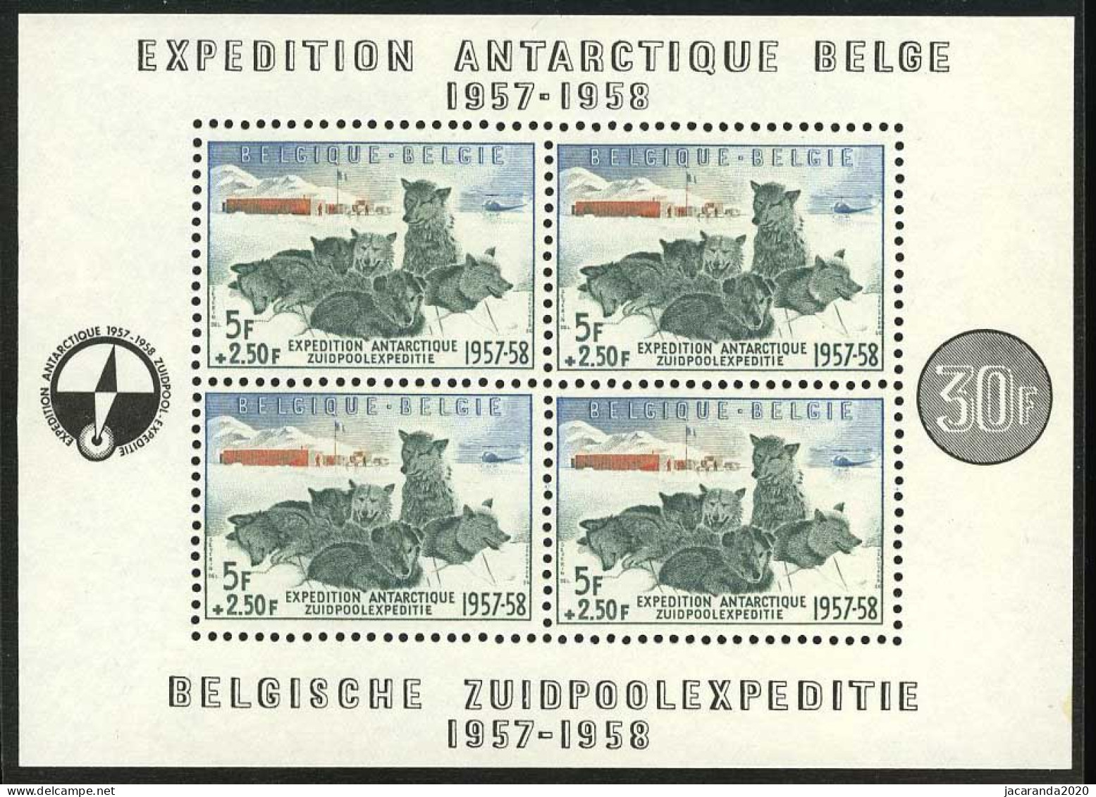 België BL31 ** - Belgische Zuidpoolexpeditie - Expédition Antarctique - Hergé (kompas) - Sleehonden - SUP - 1924-1960